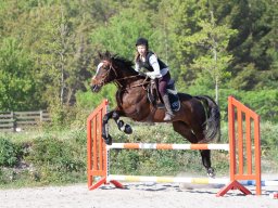 IMG_0638_web